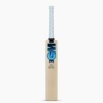 Top 10 Best Cricket Bats in India - GM Diamond 444 English Willow