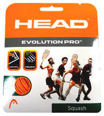 HEAD PERFECT POWER 17L Squash String