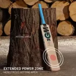 111diamond 101 kashmir willow cricket bat 1 (1)