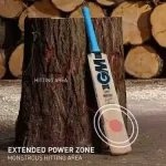 123diamond 202 kashmir willow cricket bat 11