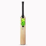 GM Zelos II 101 Kashmir Willow Cricket Bat