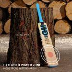 --1neon-202-kashmir-willow-cricket-bat-1_3