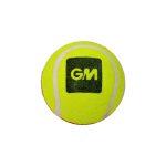 GM Swing King Cricket Ball (Red/Yellow)