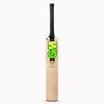 GM Zelos II Maestro Kashmir Willow Cricket Bat