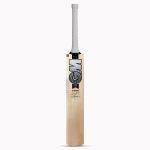 Top 10 Best cricket bats in India - GM Icon Striker Kashmir