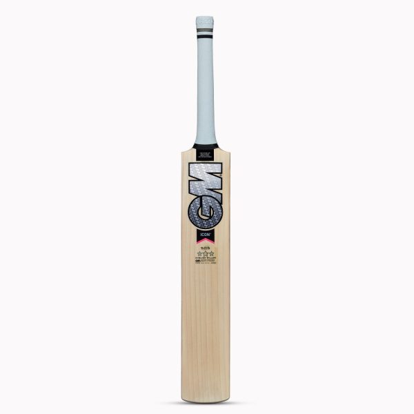 Top 10 Best Cricket Bats in India - GM Icon 505