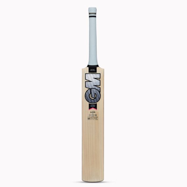 Top 10 Best Cricket Bats in India - GM Icon 606