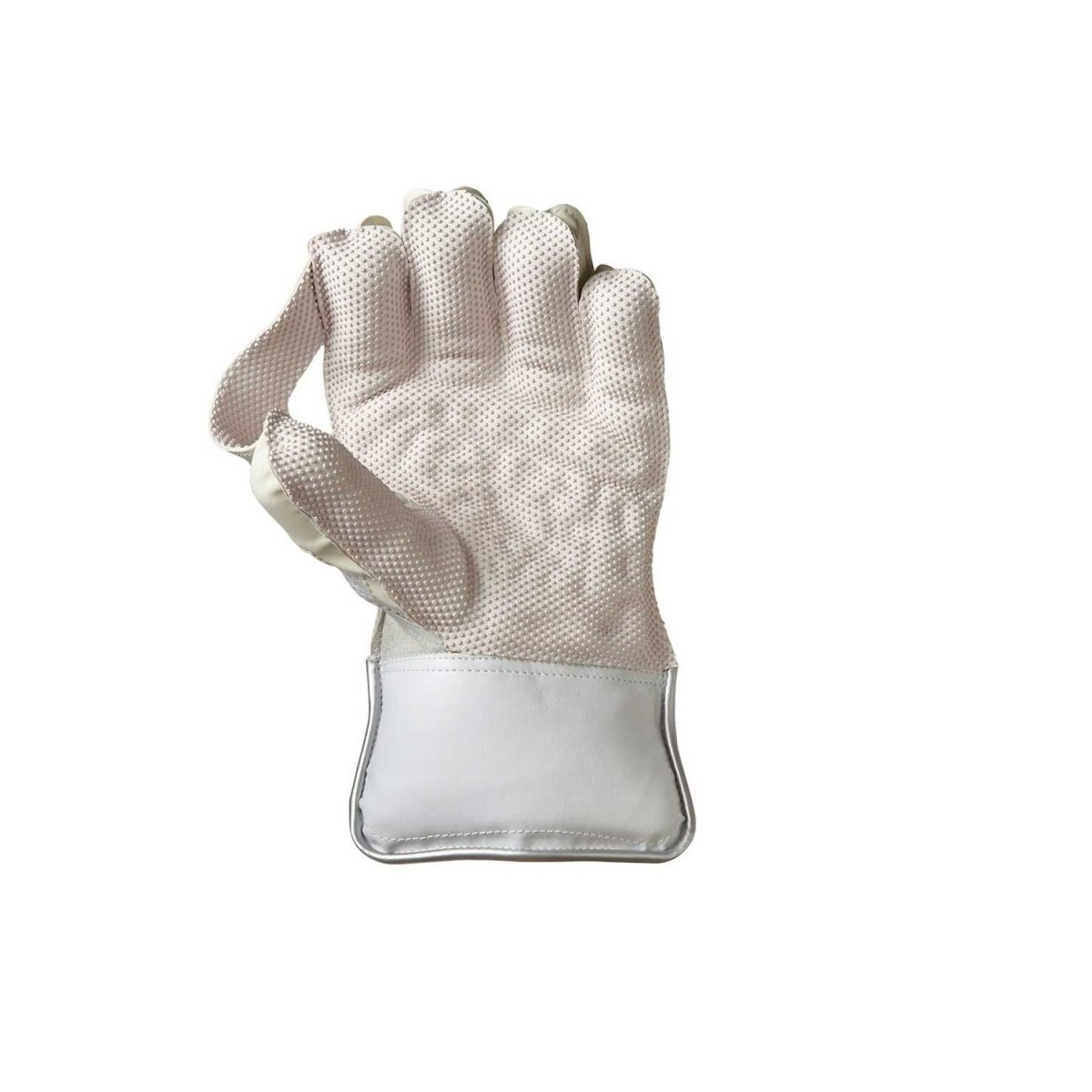 --606-wicket-keeping-gloves-3