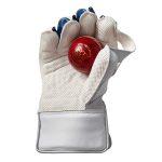 --909-wicket-keeping-gloves-3