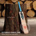 --Apex-kashmir-willow-cricket-bat-1