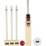 GM FLARE PLASTIC CRICKET SET (1 Bat set) - Size 6