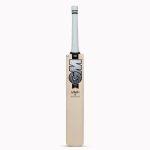 Top 10 best cricket bats in India - GM Icon Maxi