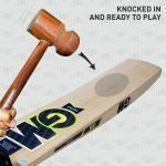 --Signature-gm-cricket-bat-english-willow-6