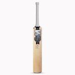 Top 10 Best Cricket Bats in India - GM Icon 101 Kashmir Willow