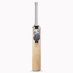 Top 10 Best cricket bats in India - GM Icon Premier Kashmir