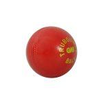 --trubounce-cricket-ball-red-2