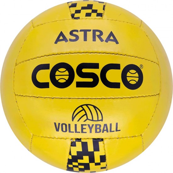 COSCO Astra Volleyball in Chennai - 3