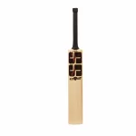 SS Sword Pro English Willow Cricket Bat – SH 1